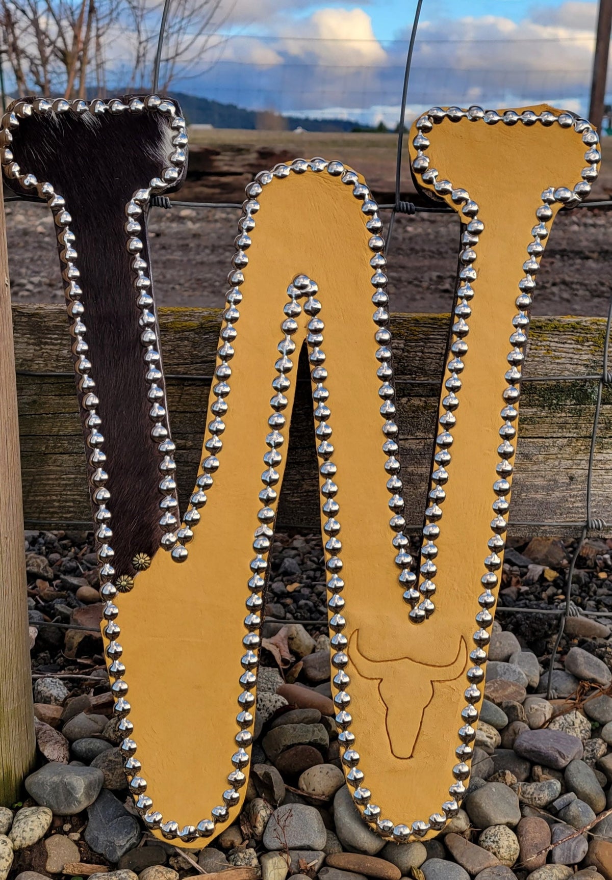 Leather Patch Letters (WWW)