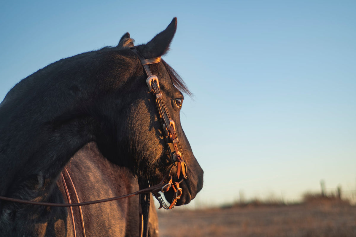 Headstalls