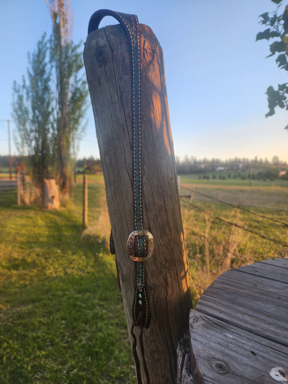 Teal Shaped Headstall