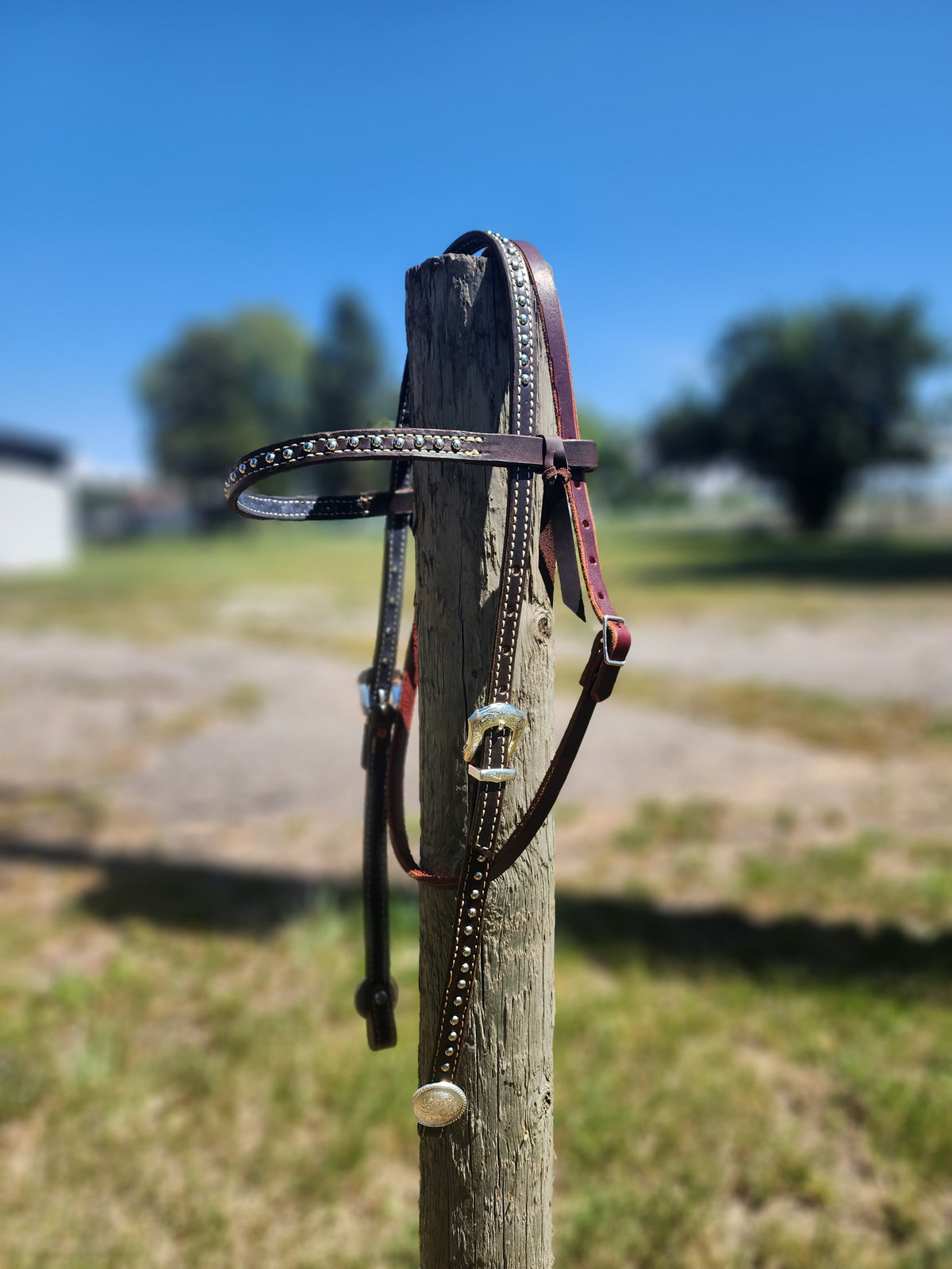 Spotted Draft Headstall