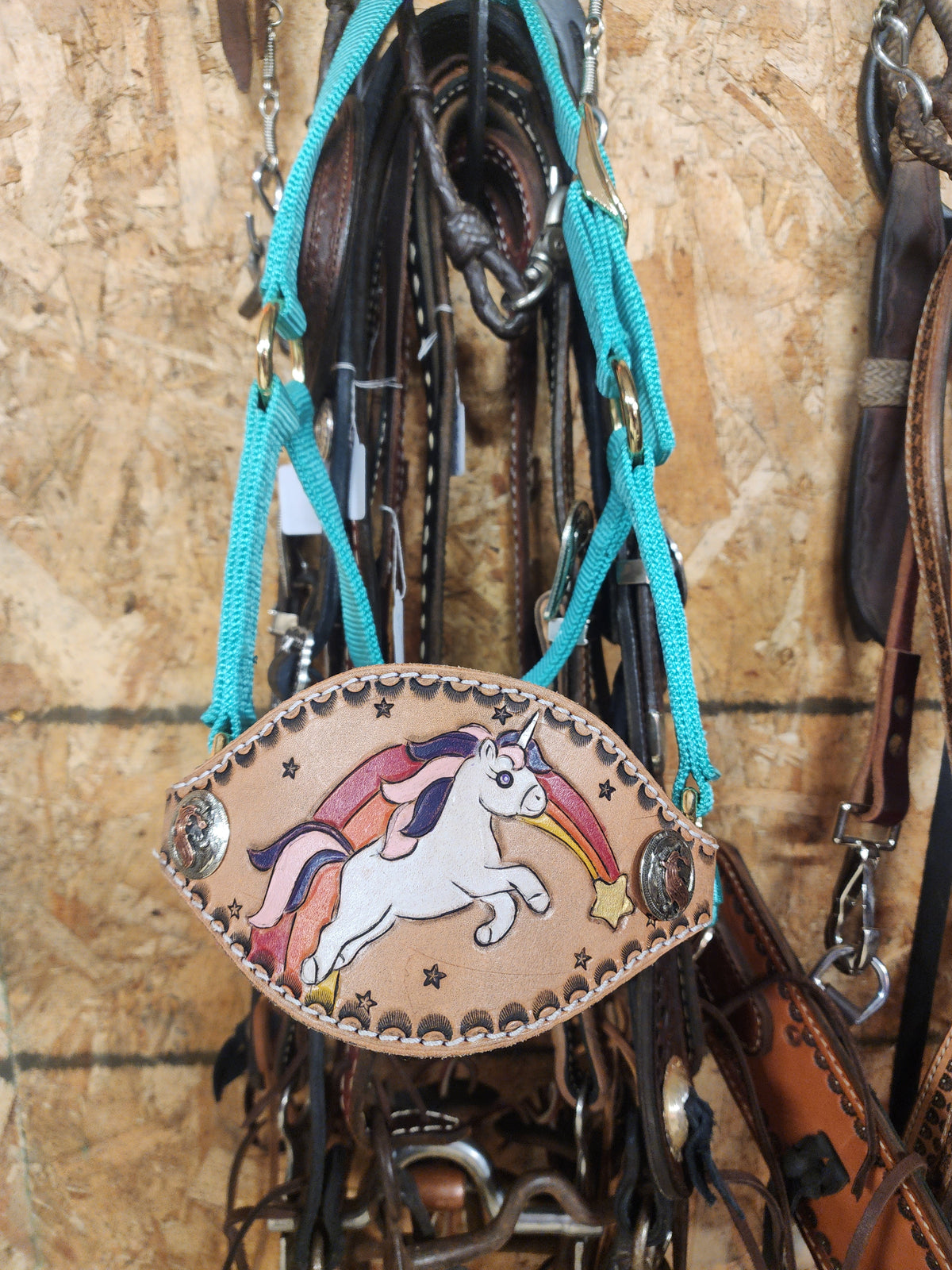Mini Rainbow Halter