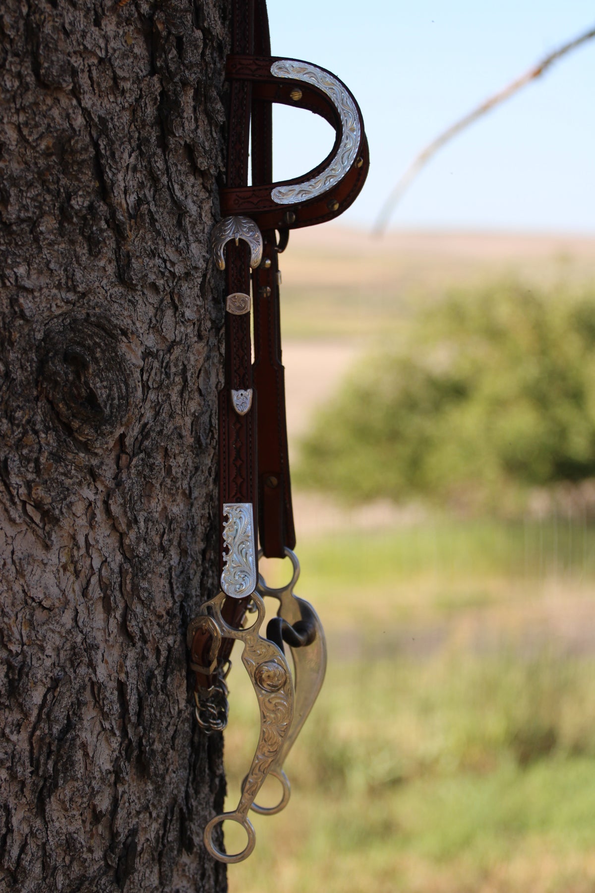 Show Headstall & Bit