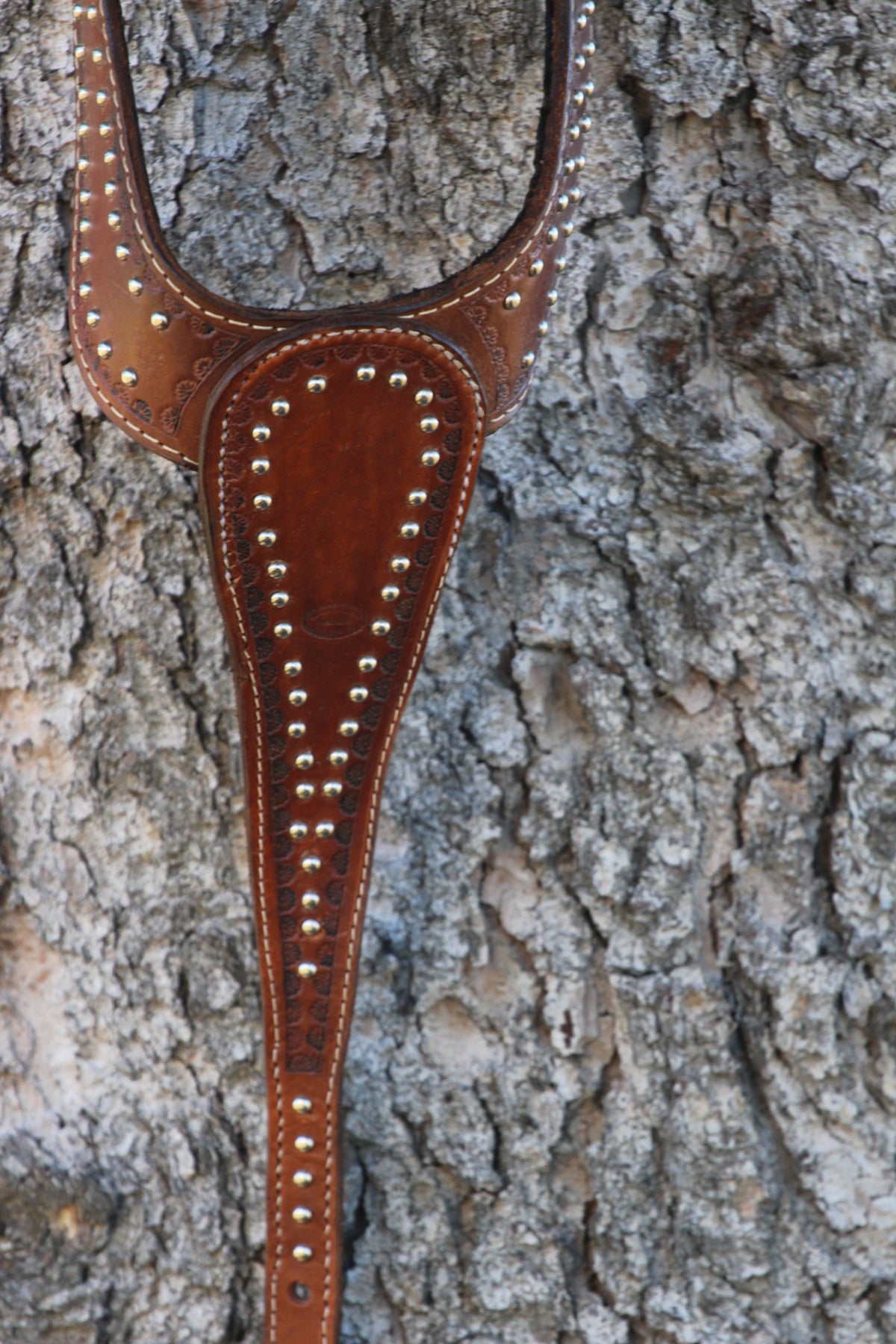 Spotted Martingale