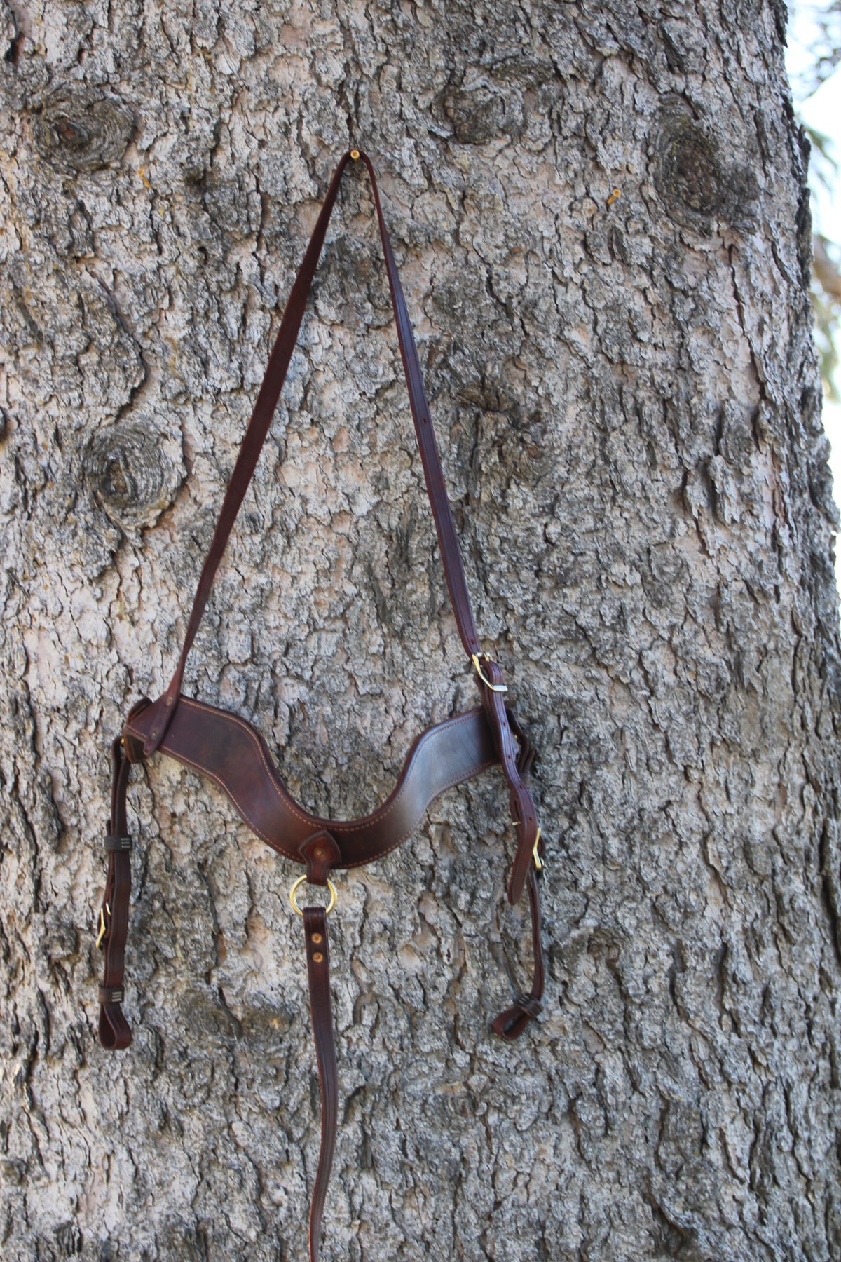 Harness Leather Tripping Collar