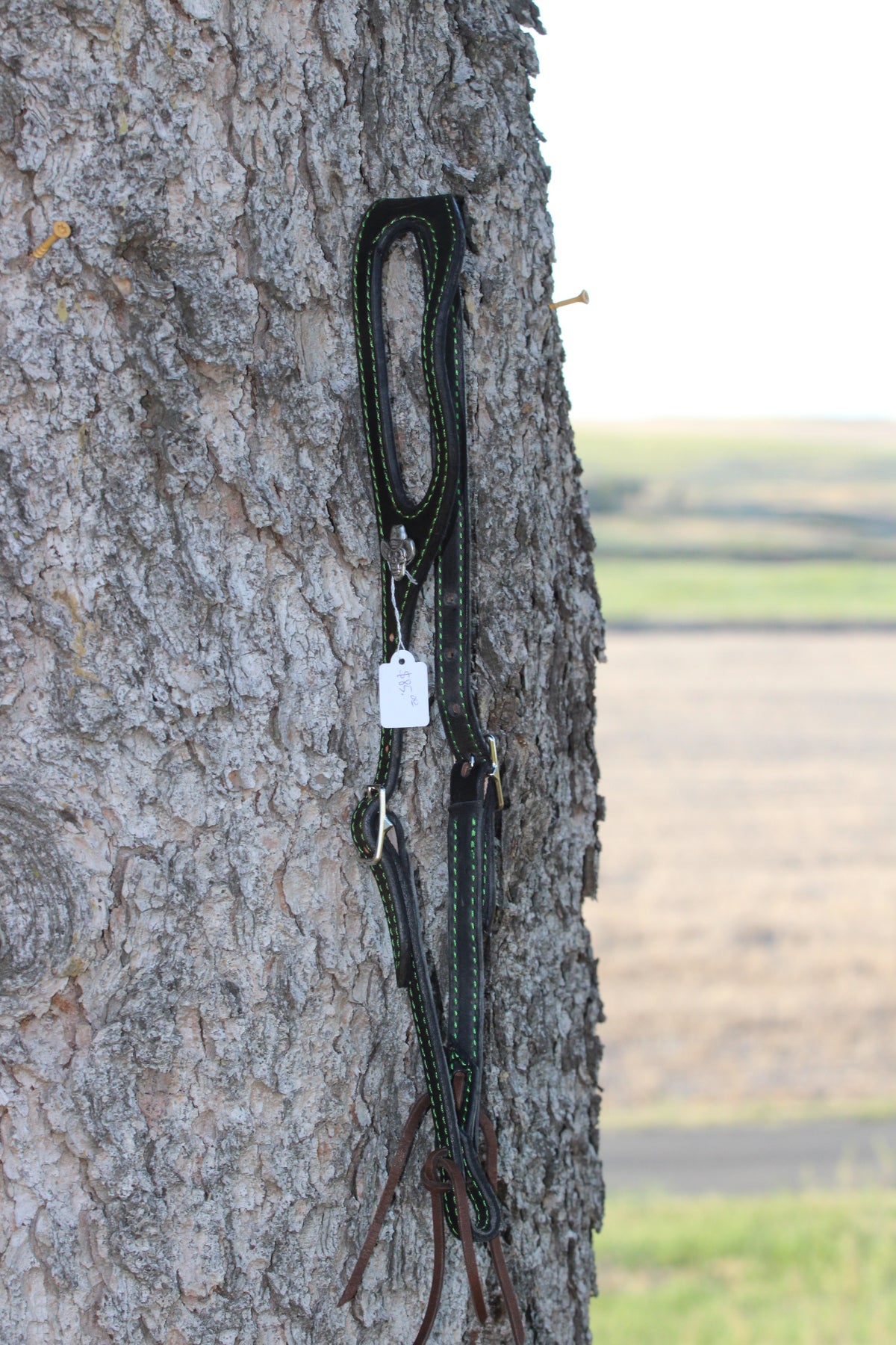 Green Stitched Headstall