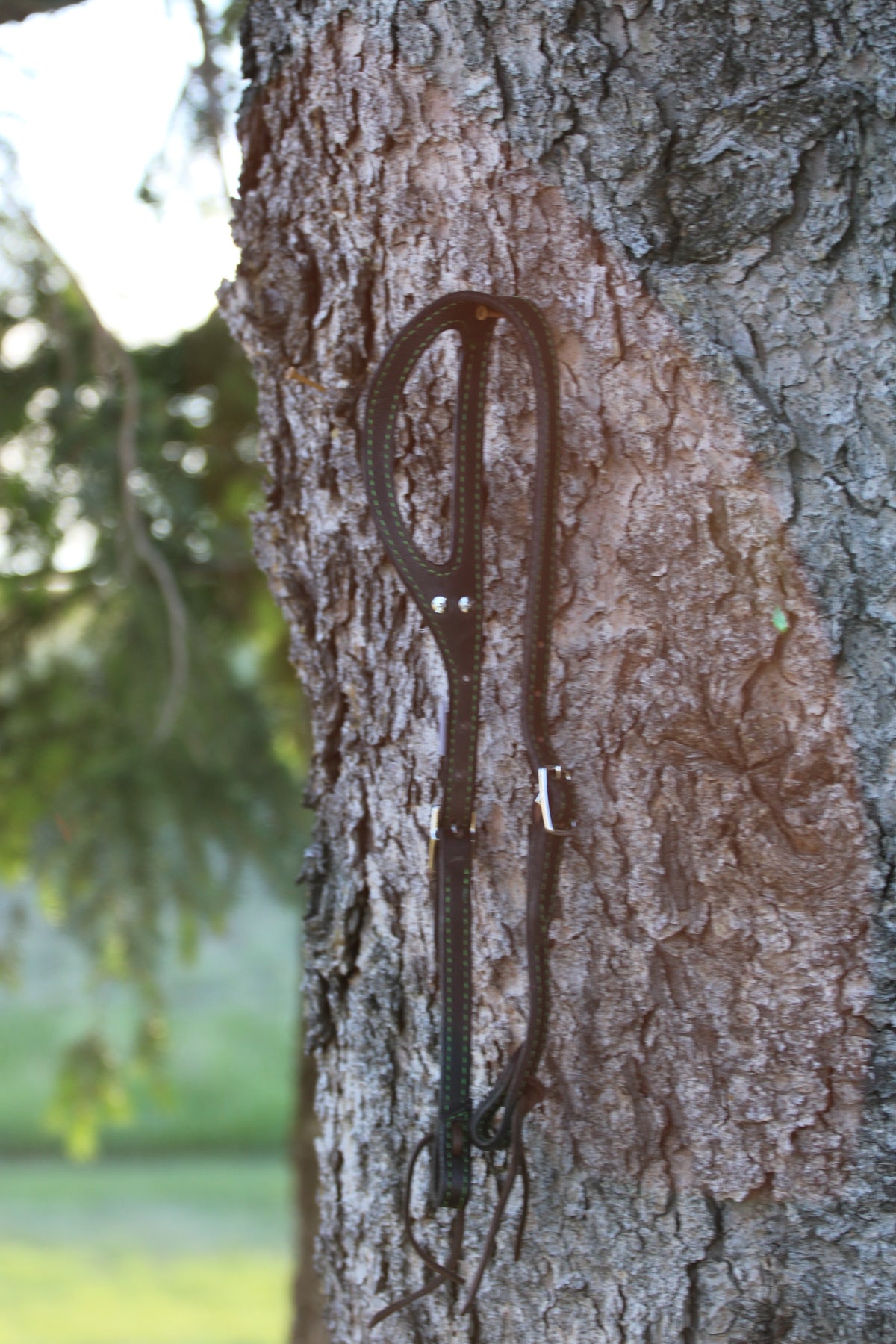 Green Stitched Headstall