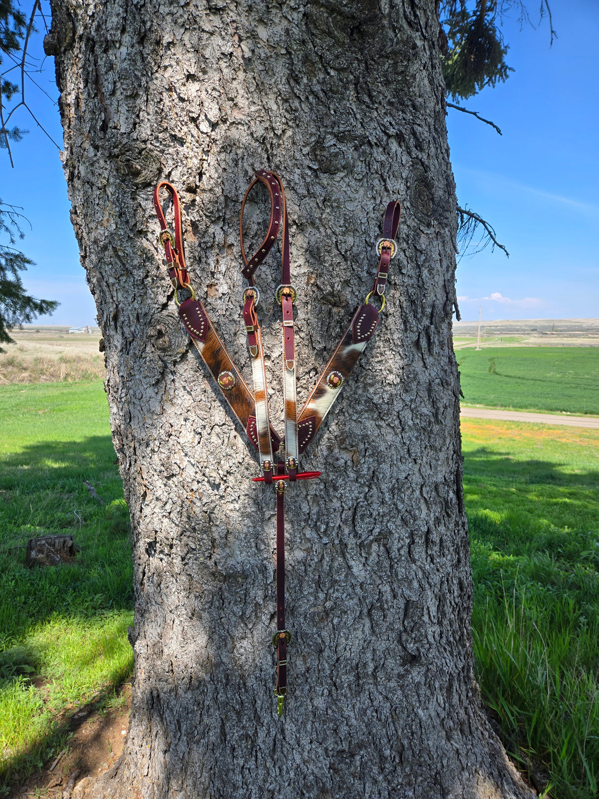 Cow Hide Custom Tack Set