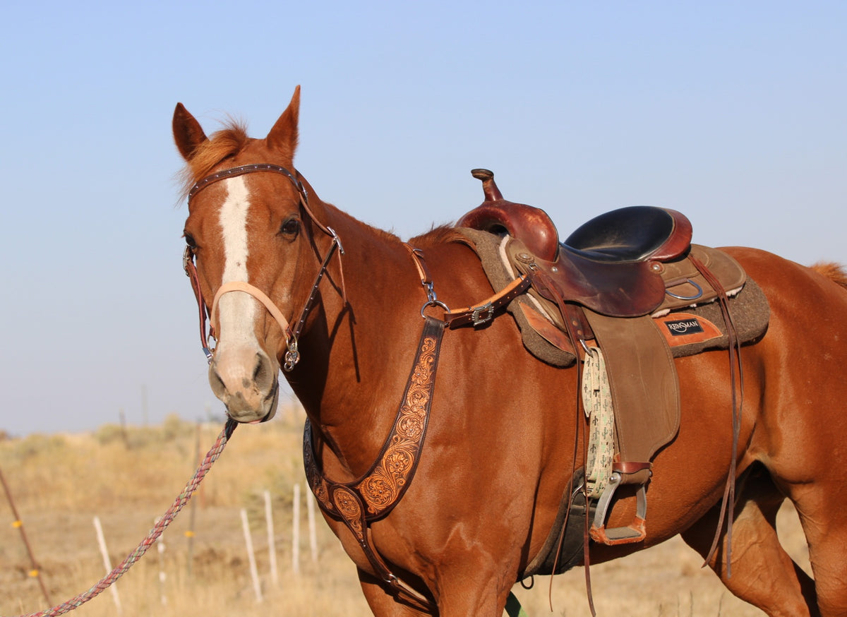 Tooled Martingale