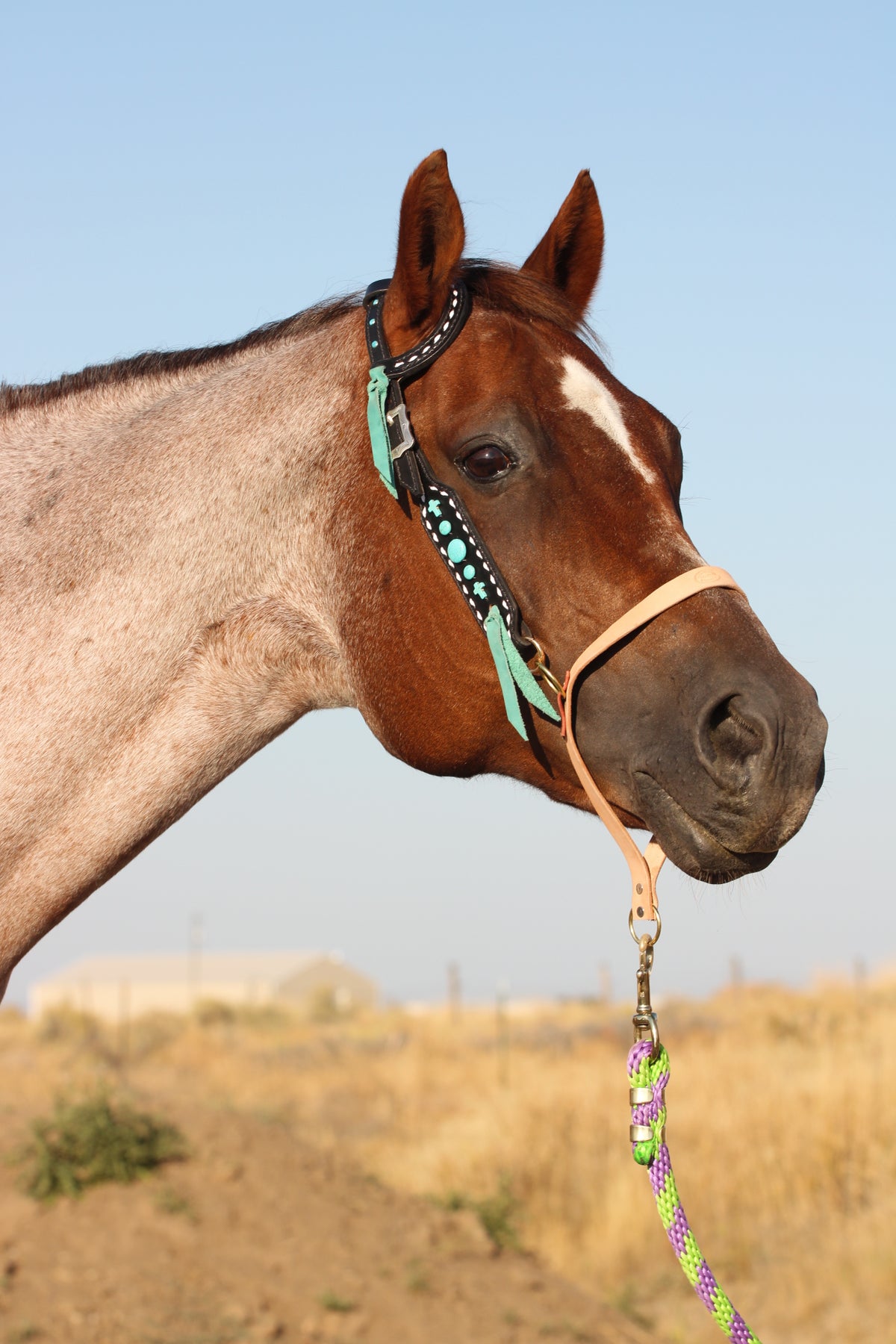 Turquoise Stone Headstall and Breastcollar
