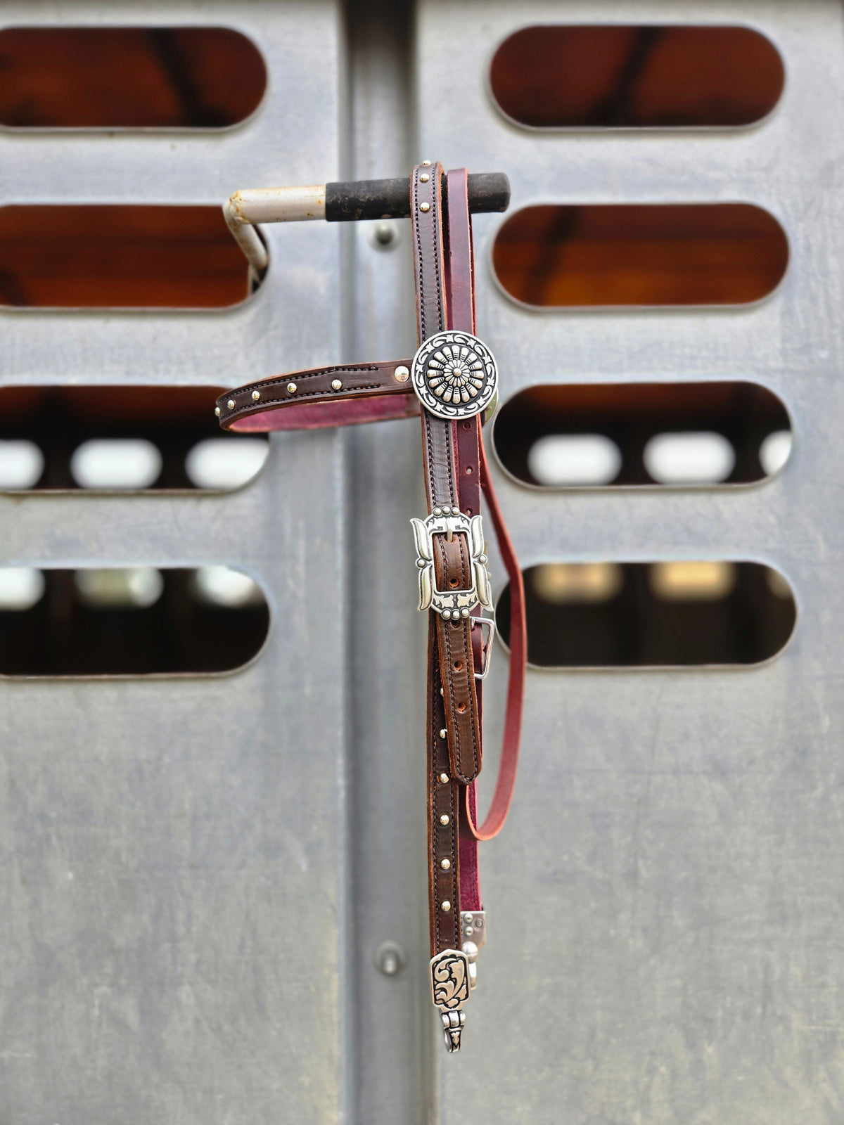 Spotted Browband