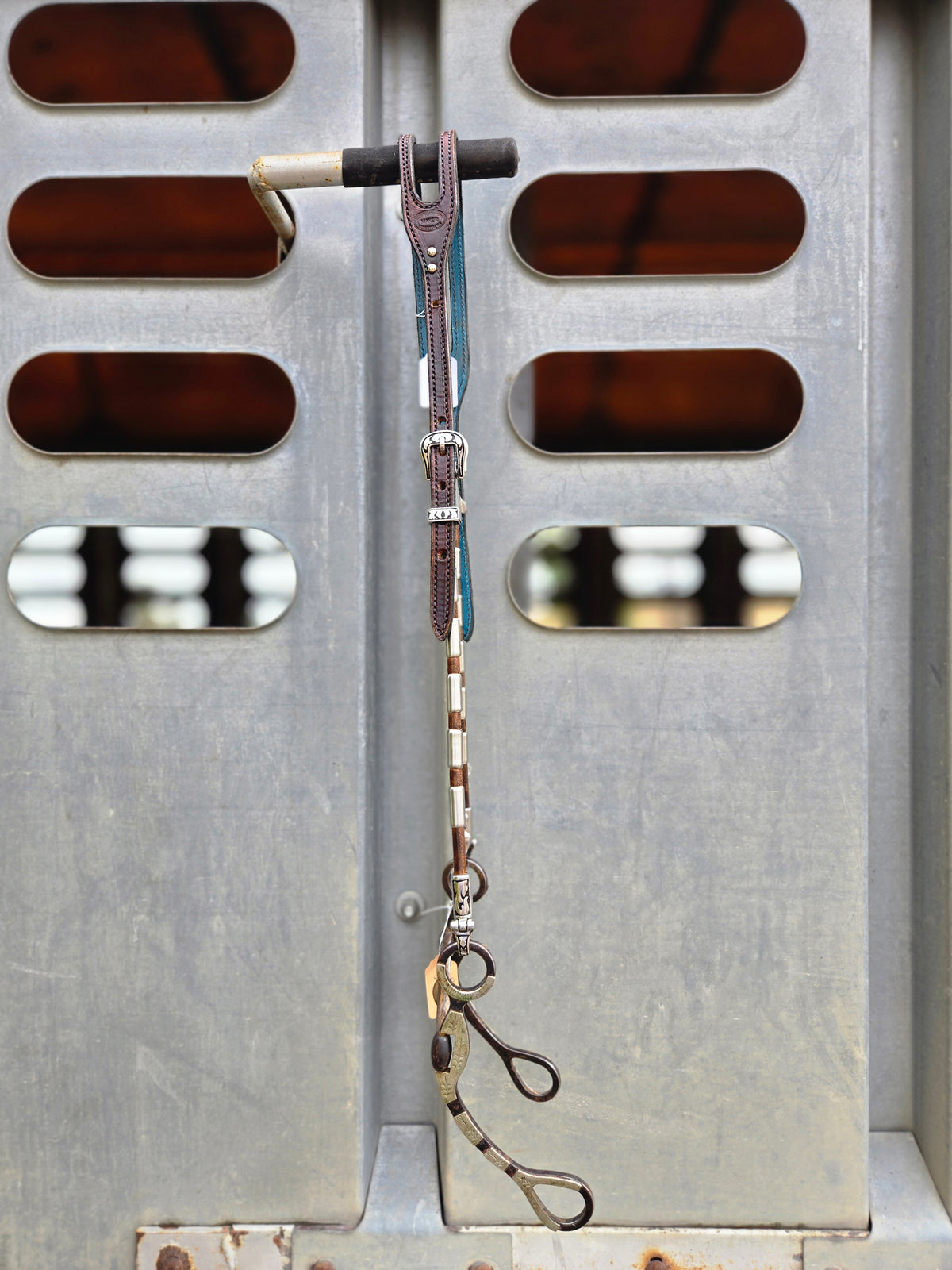 Ferrule Headstall