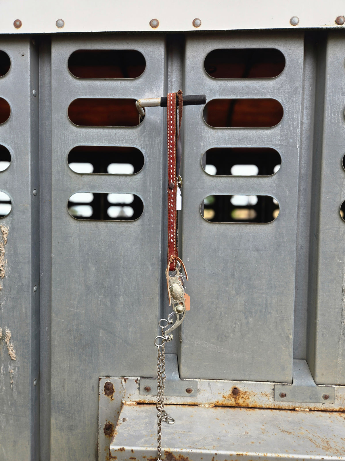 Roughout 1 Ear Headstall
