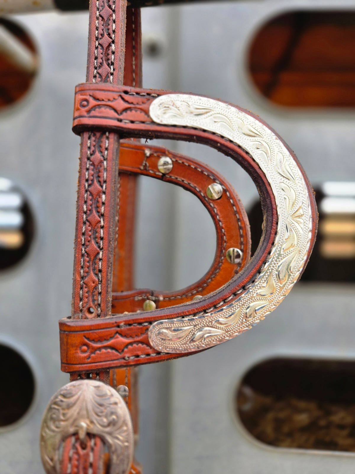 Show Headstall & Bit