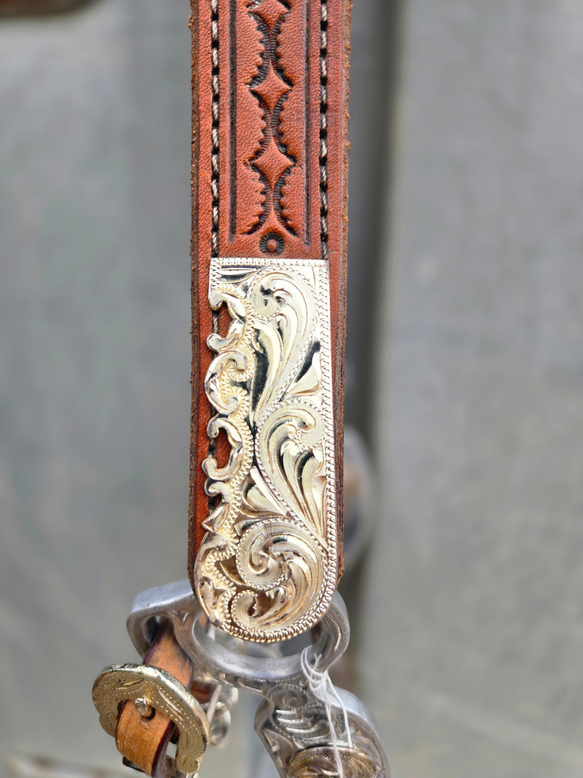 Show Headstall & Bit