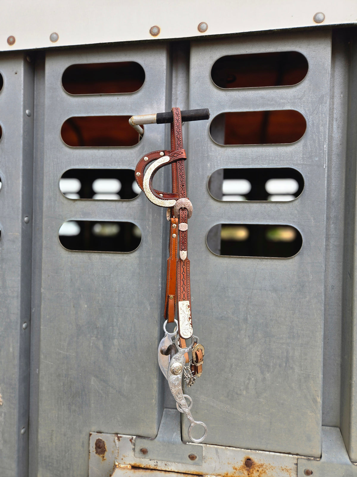 Show Headstall & Bit