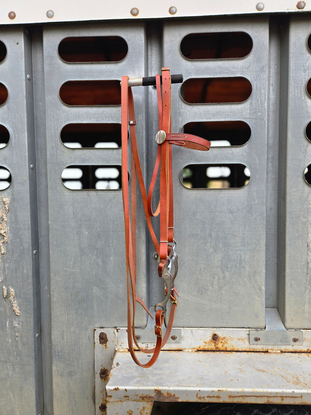 Vintage Headstall, Bit & Reins