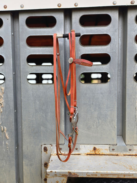 Vintage Headstall, Bit & Reins