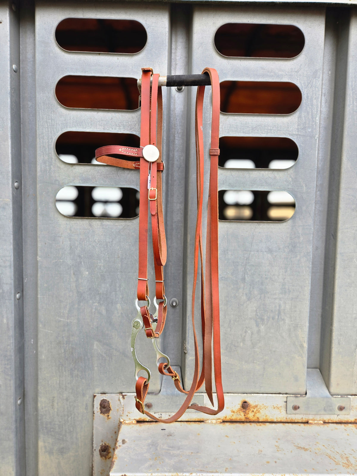 Vintage Headstall, Bit & Reins