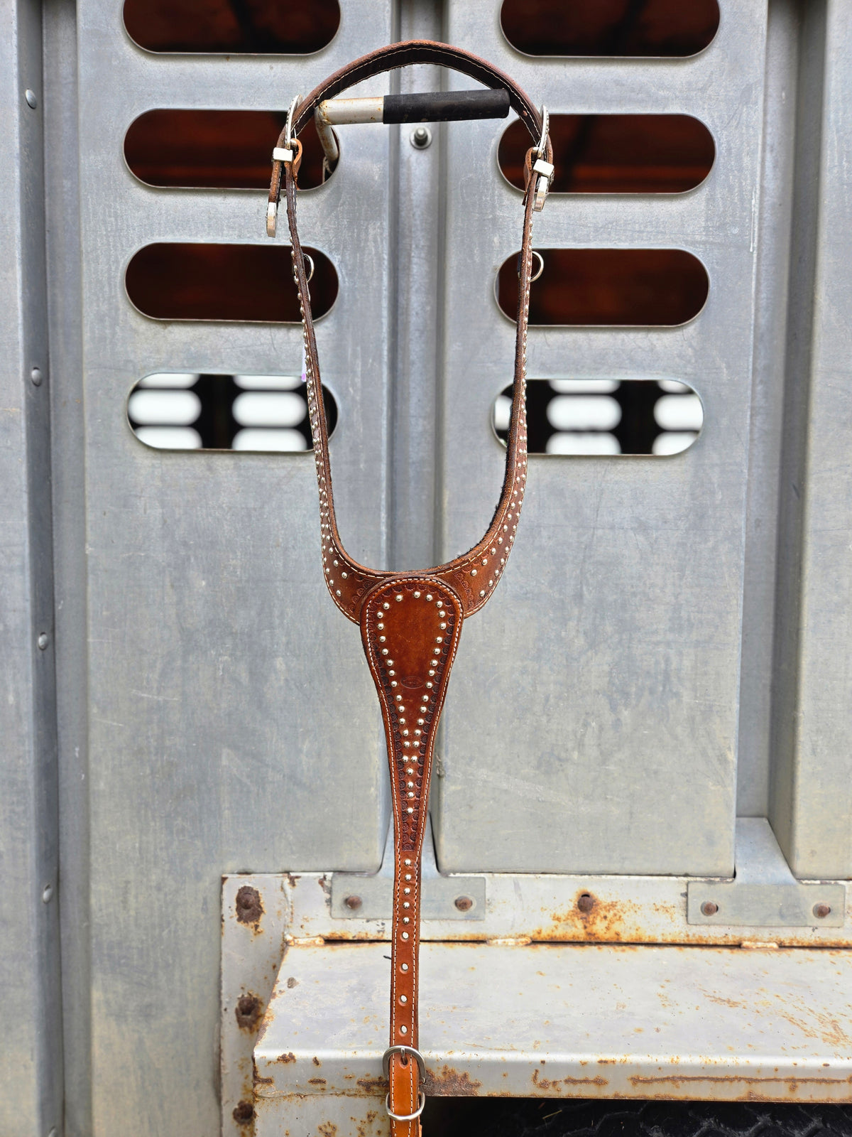 Spotted Martingale