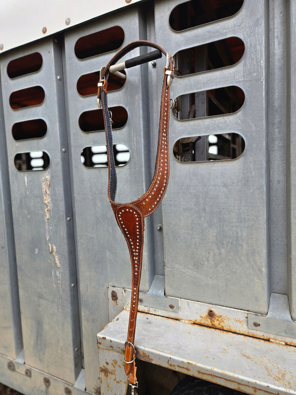 Spotted Martingale