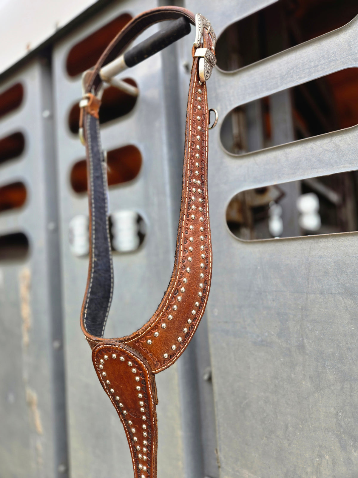 Spotted Martingale