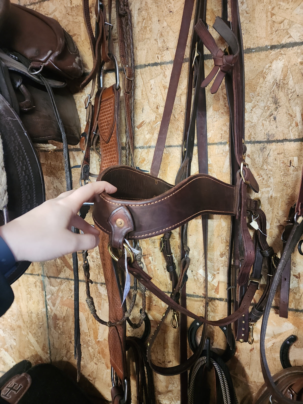 Harness Leather Tripping Collar