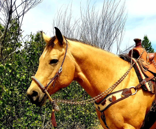 White Buckstitch Bosal Hanger