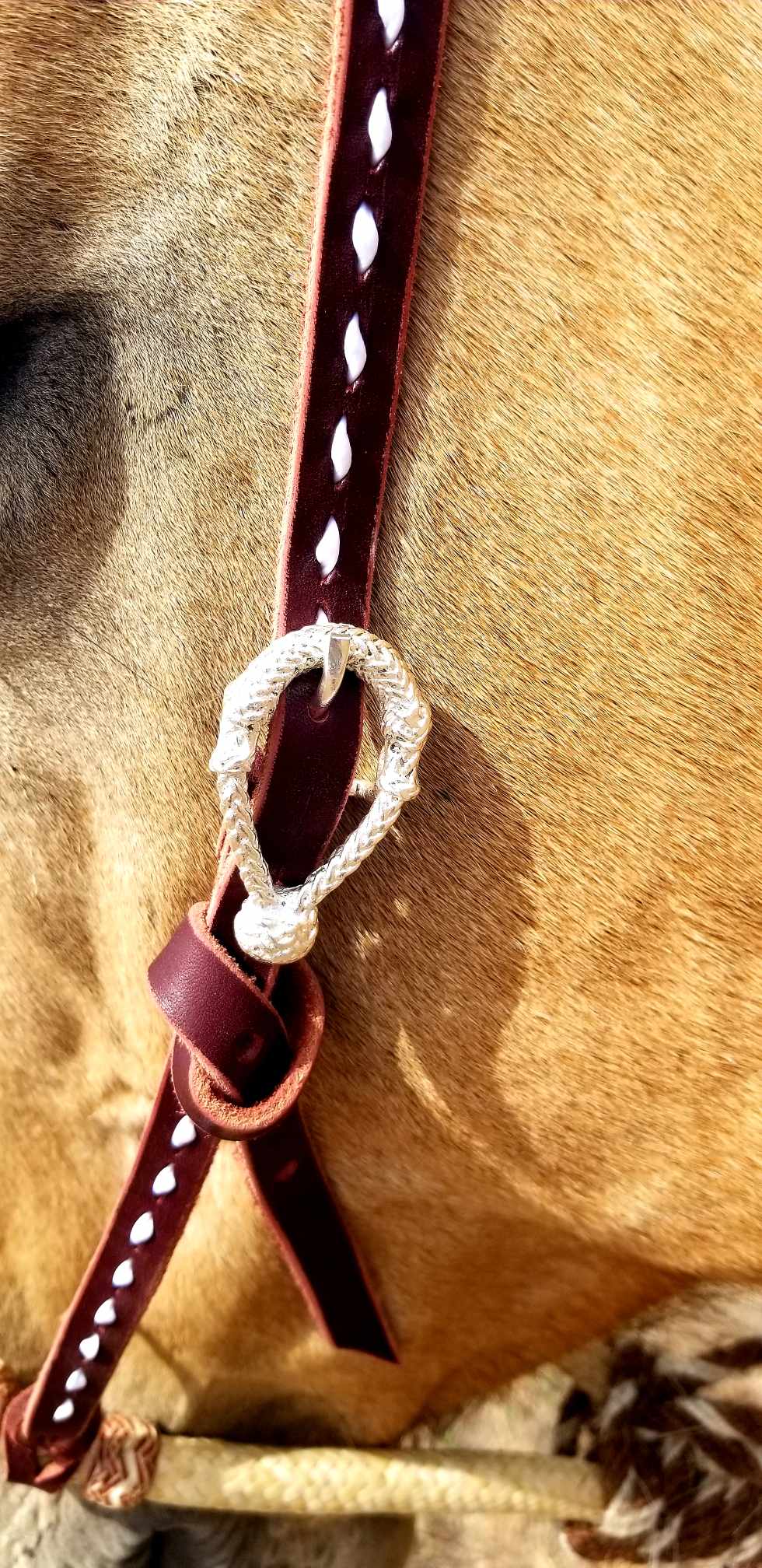 White Buckstitch Bosal Hanger