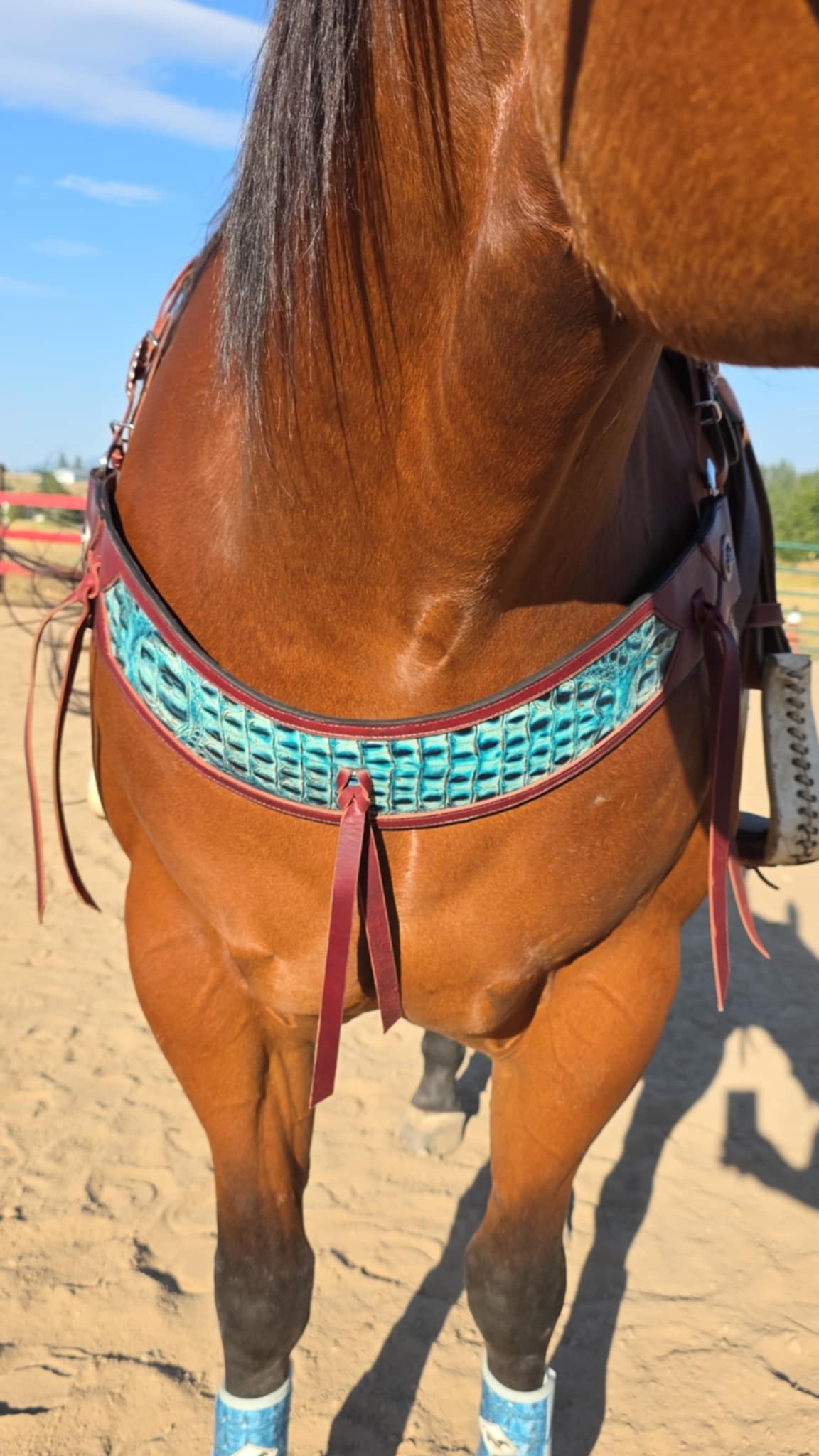 Faux Croc Tripping Collar