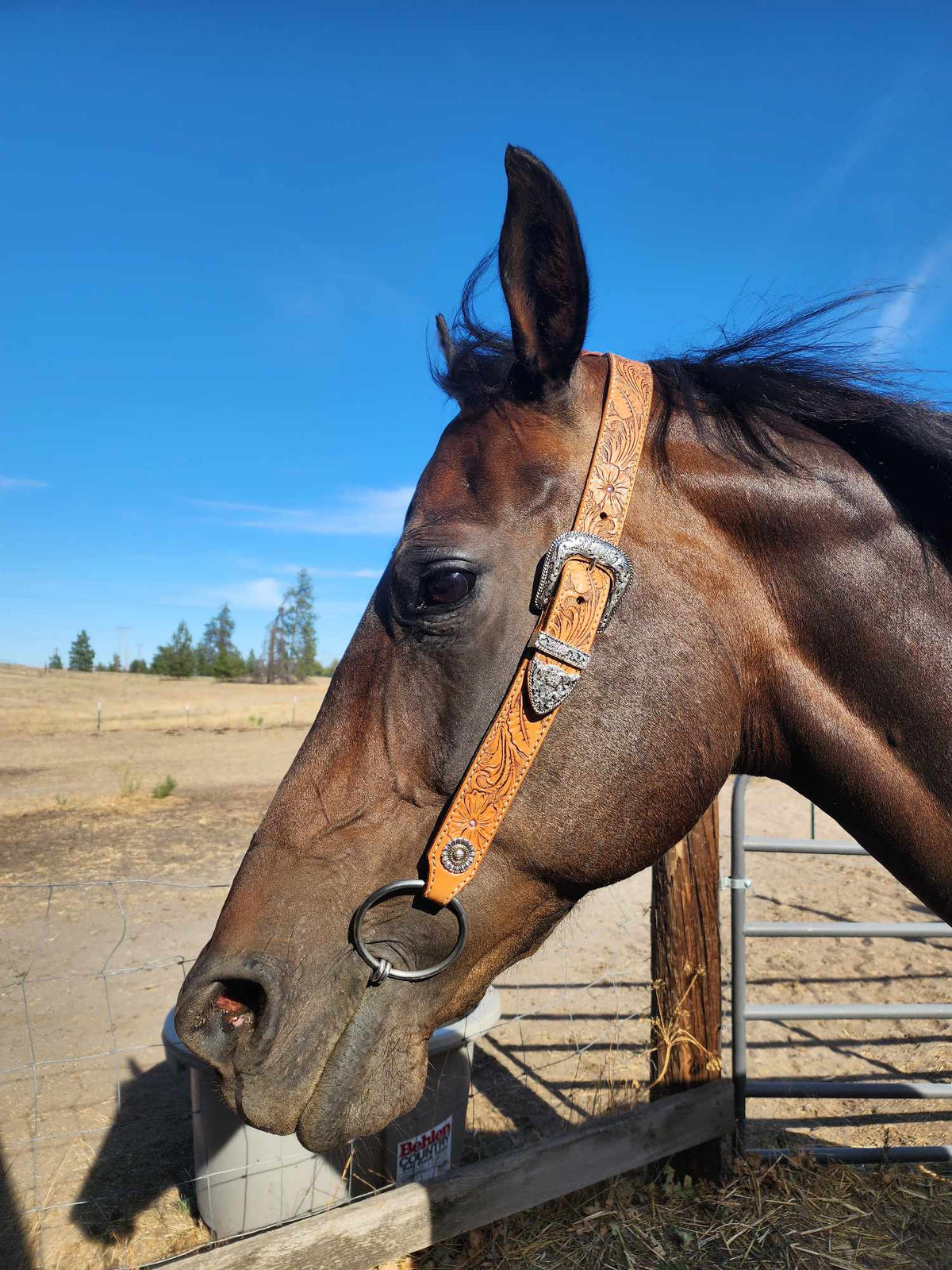 Flower Tooled Headstall