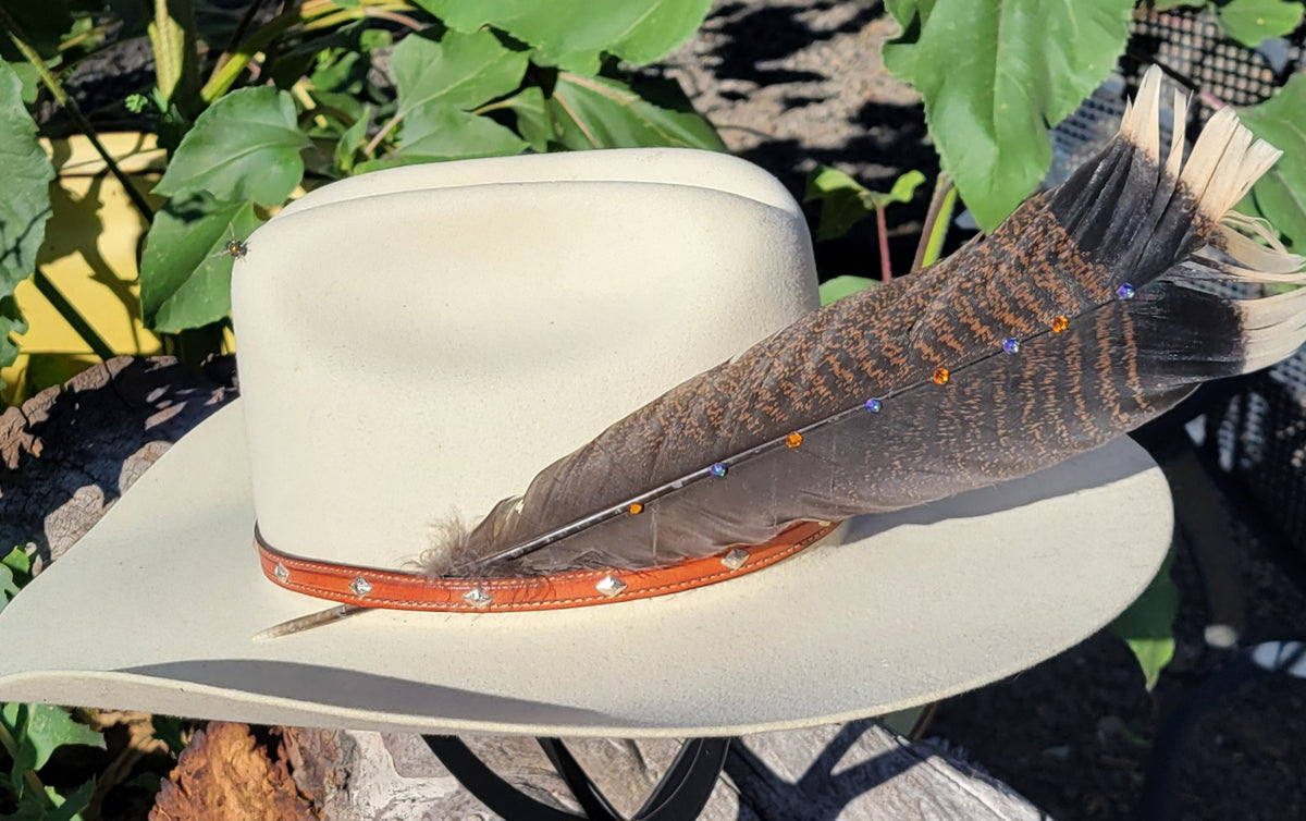 Hat feathers