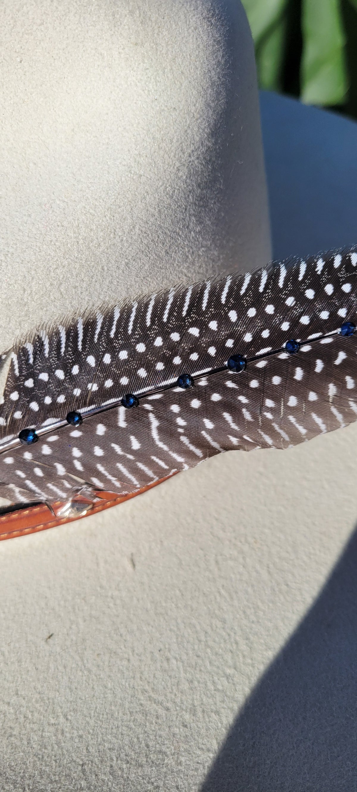 Hat feathers