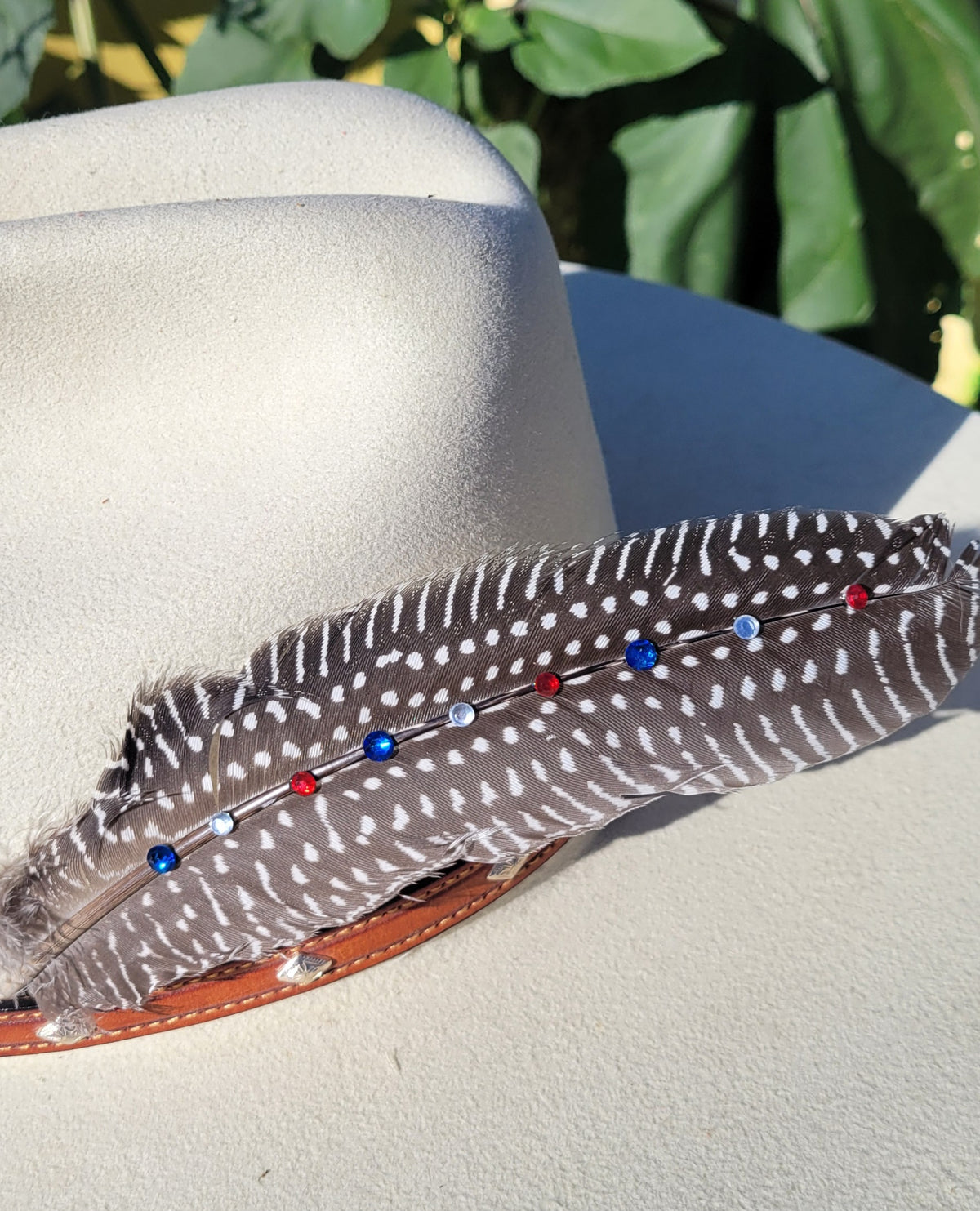Hat feathers