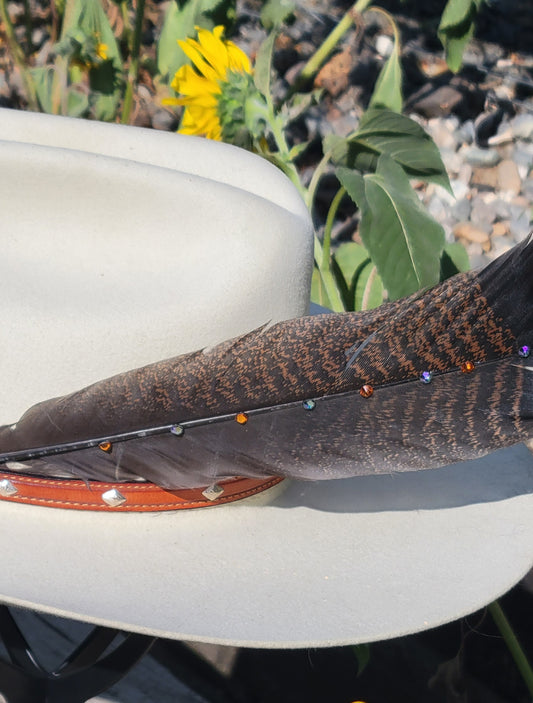 Hat feathers