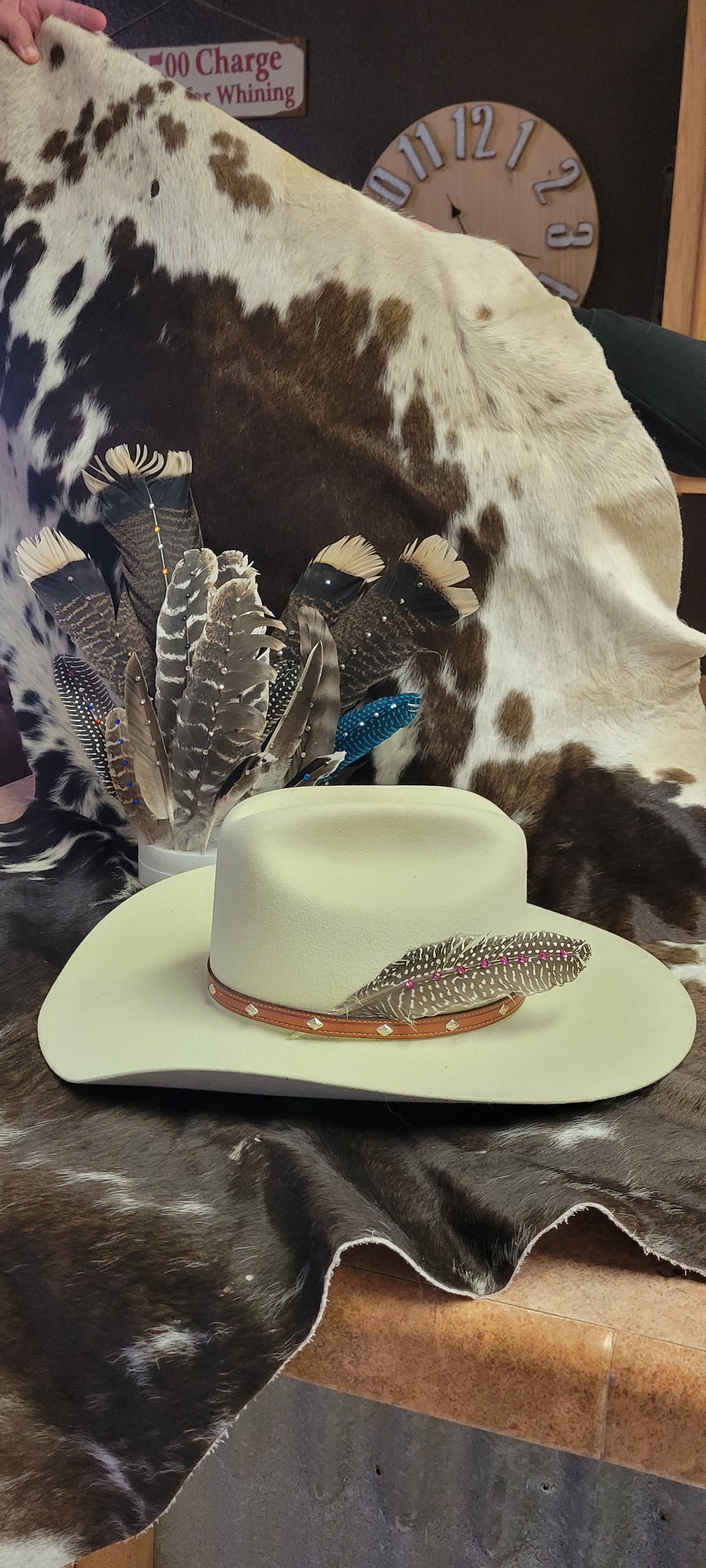 Hat feathers