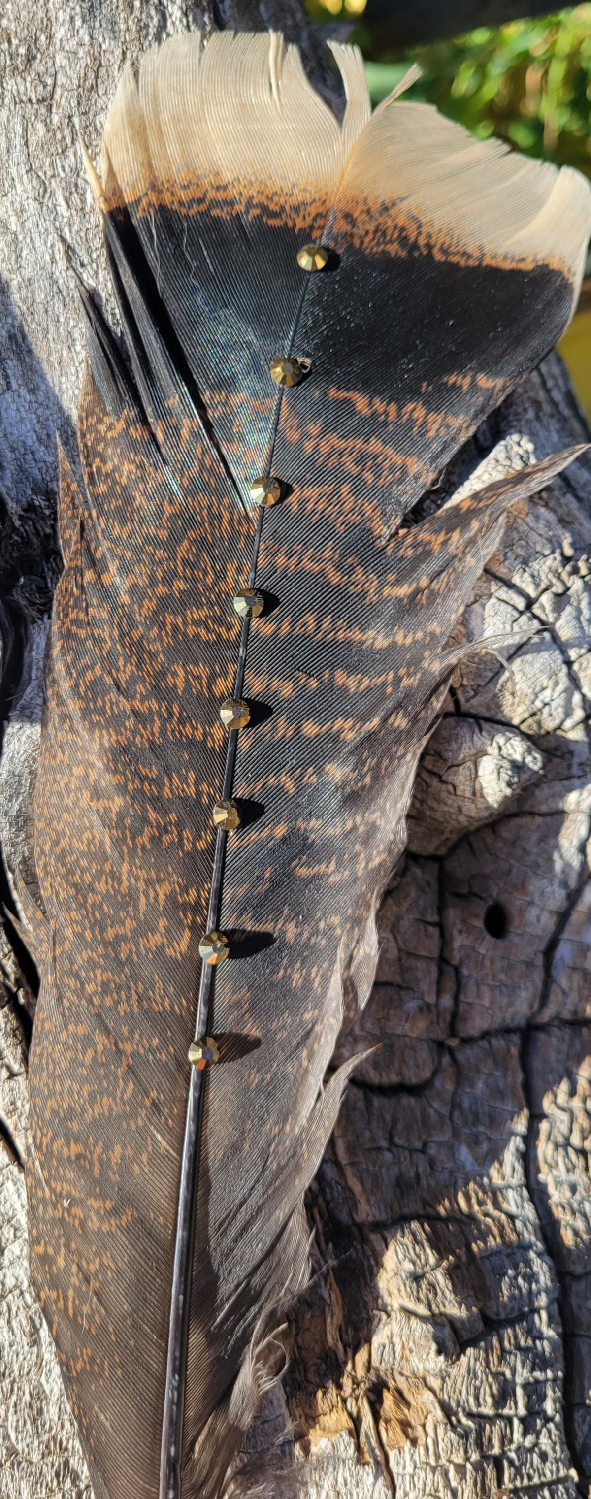 Hat feathers