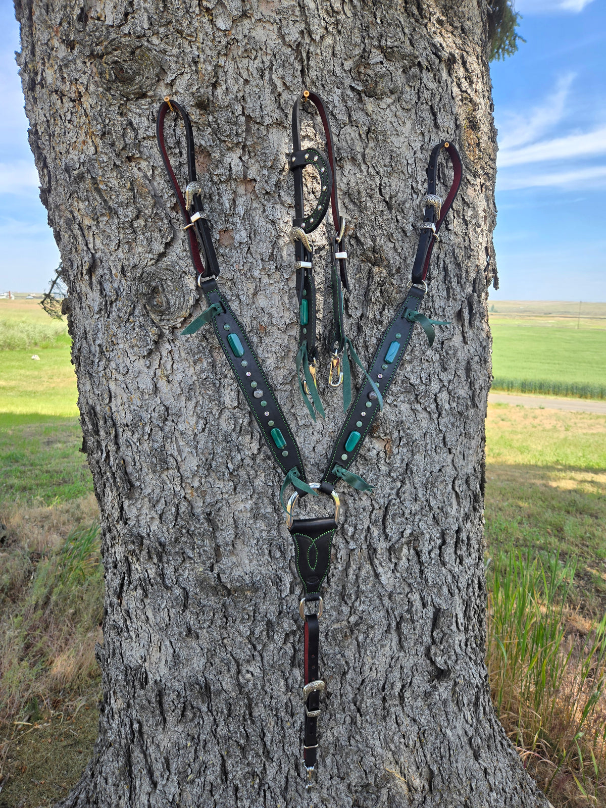 Stone Cold Tack Set