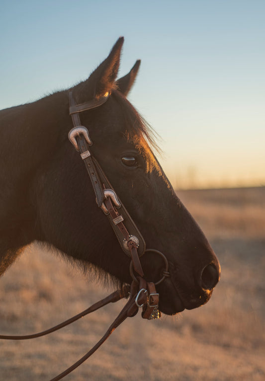 1 Ear Buckle Headstall