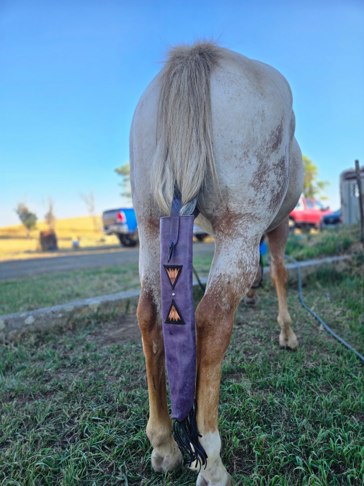 Show Tail Bag