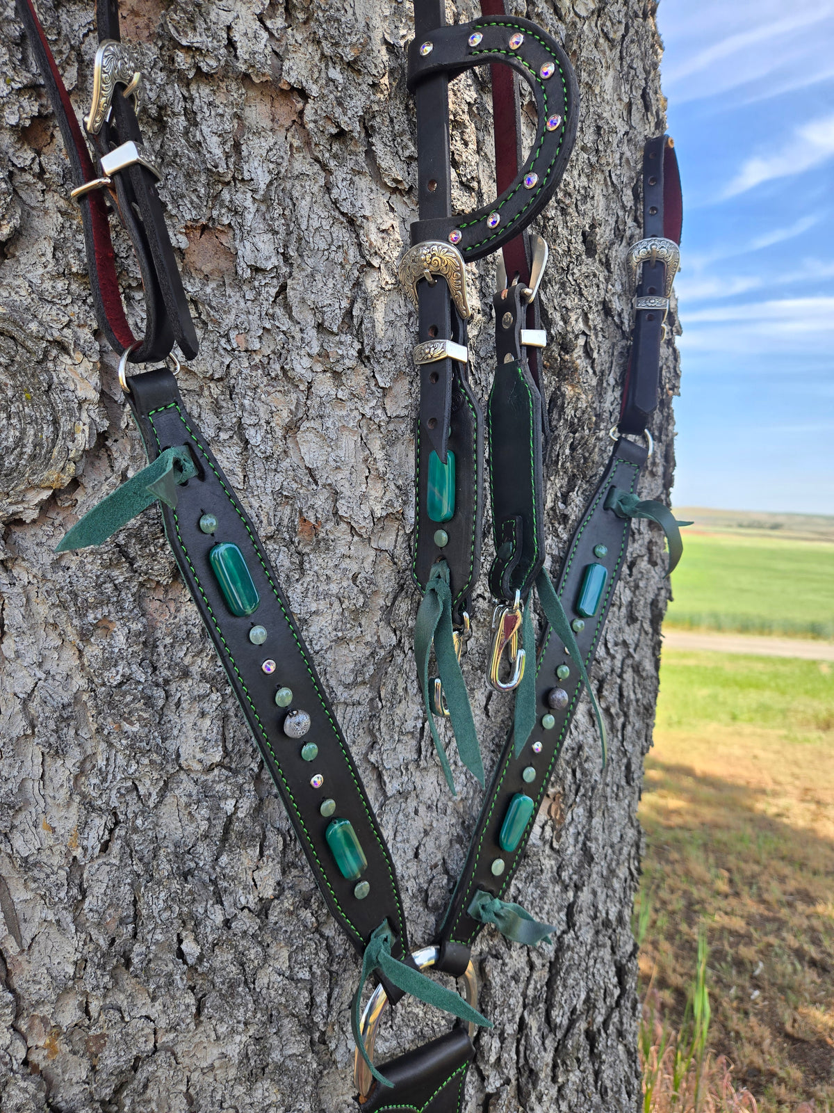 Stone Cold Tack Set