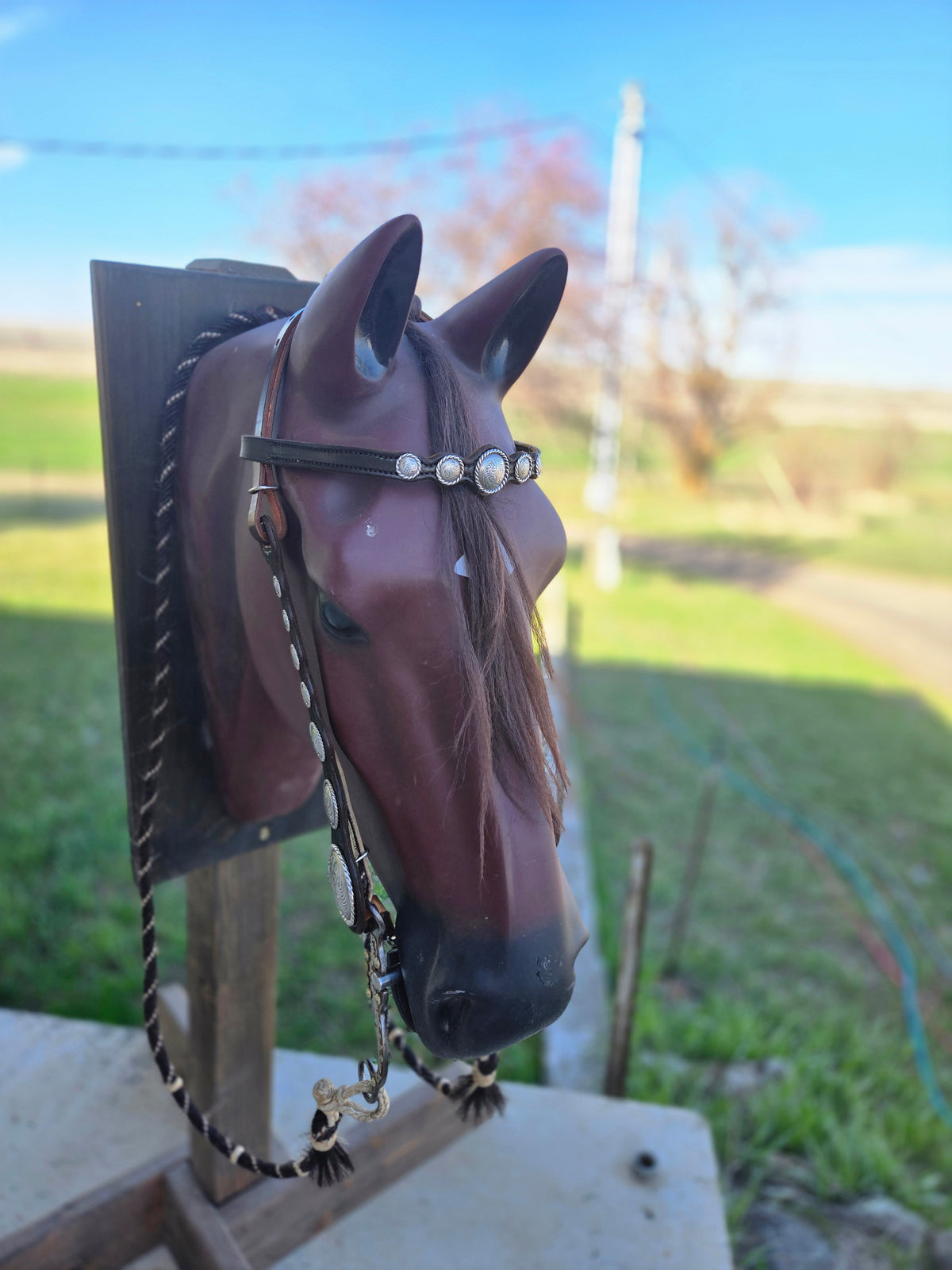 Vintage Large Concho Headstall