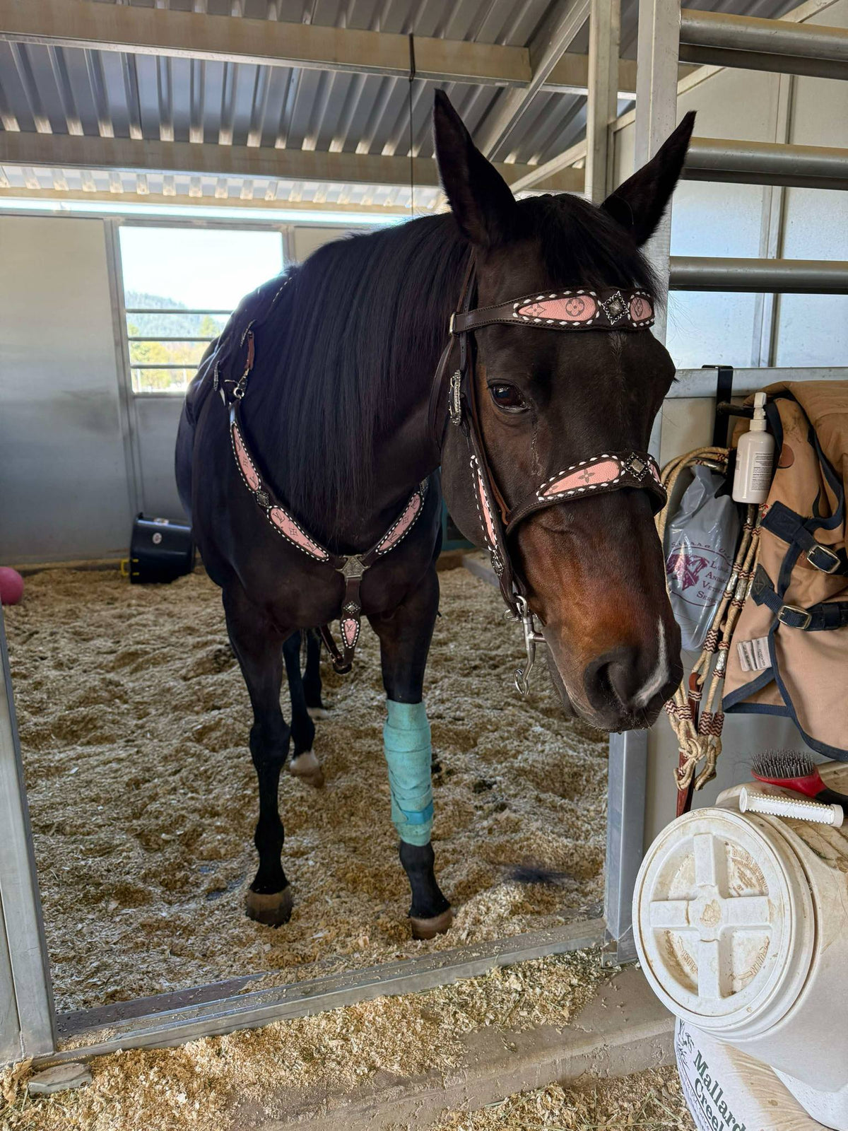 Pink Designer Set