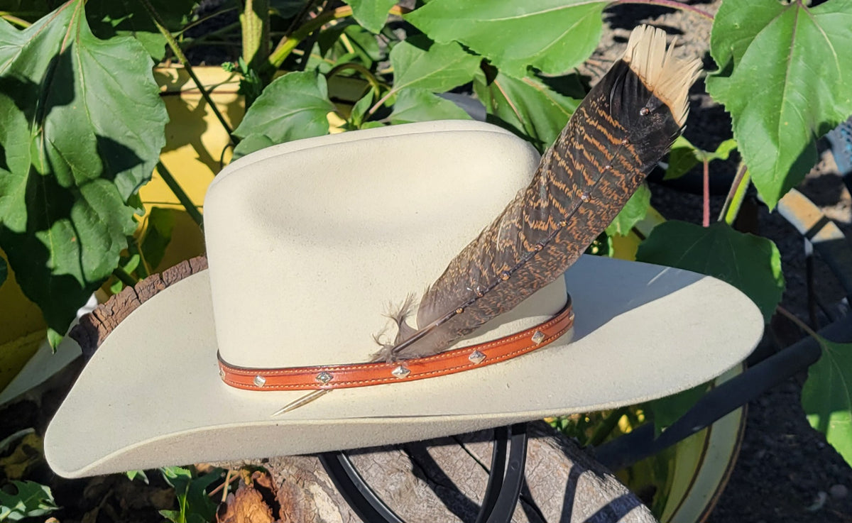Hat feathers